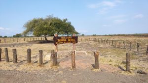 Private Trip Taman Nasional Baluran