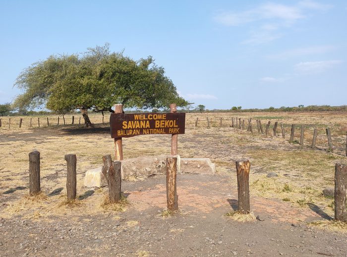 Private Trip Taman Nasional Baluran