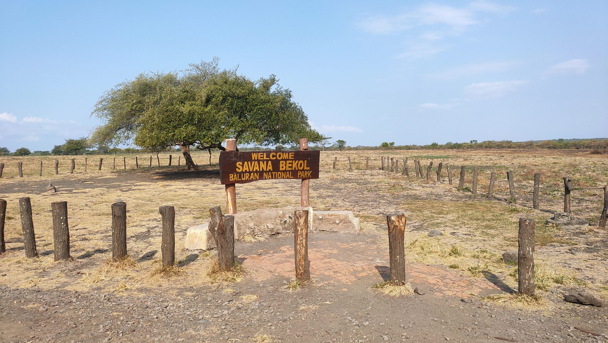 Private Trip Taman Nasional Baluran
