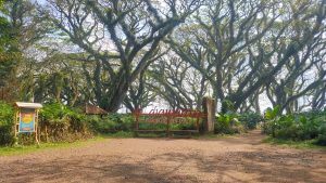 Private Trip de Djawatan
