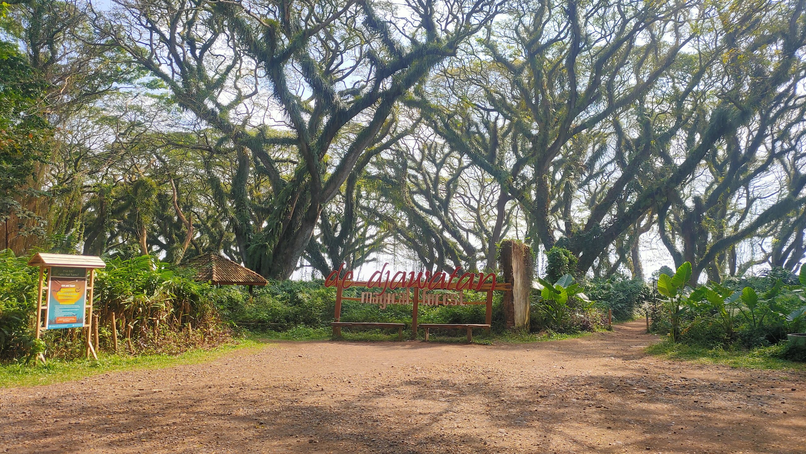 Open Trip De Djawatan – Baluran