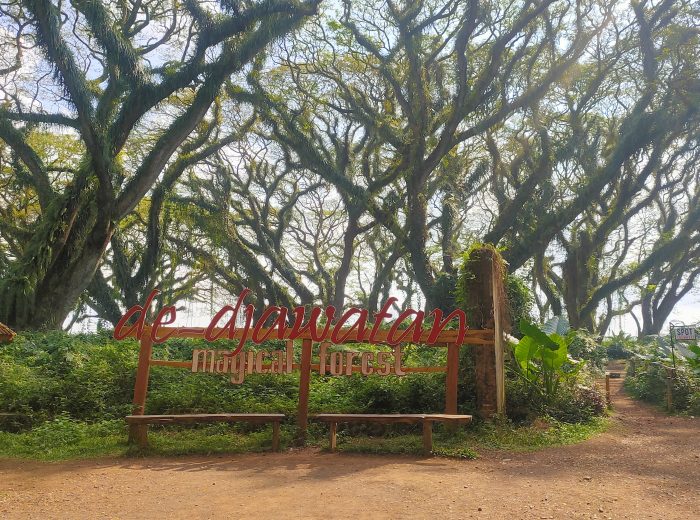 Open Trip De Djawatan – Baluran